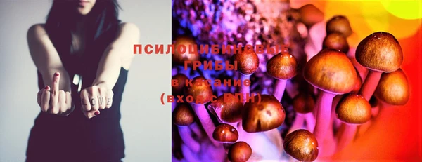 прущая мука Алзамай