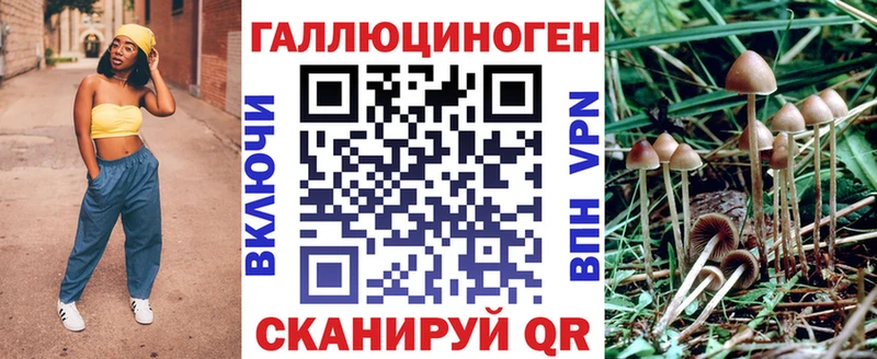 мега зеркало  Бирск  Псилоцибиновые грибы прущие грибы  закладка 