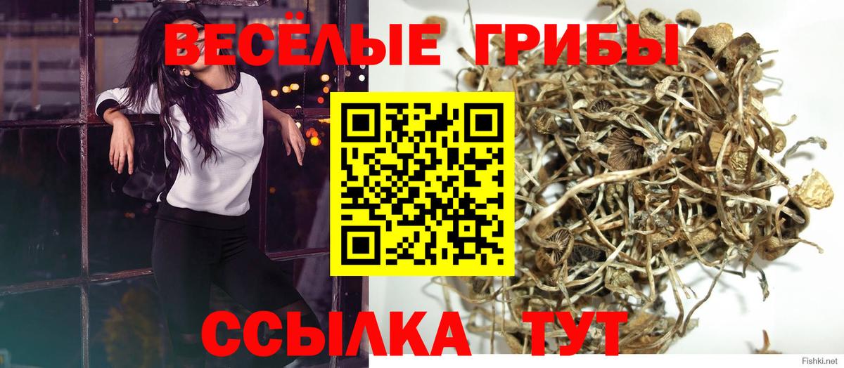 Псилоцибиновые грибы мухоморы  Вход с VPN  Бирск 